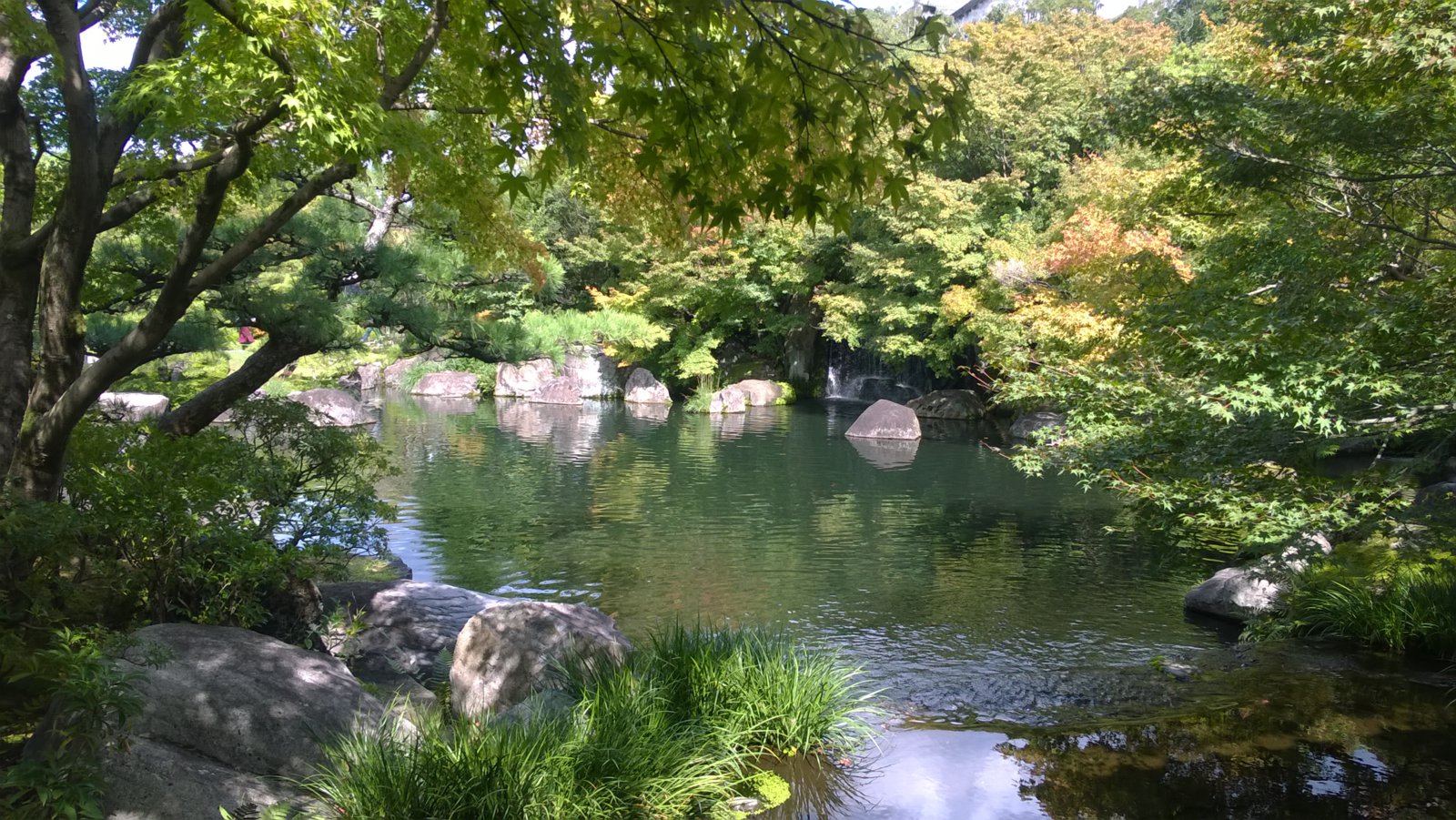 WP_20181013_12_39_44_Pro.jpg