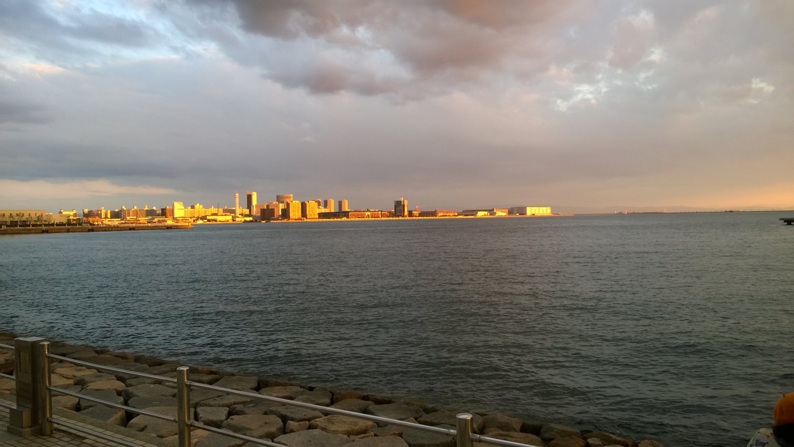 WP_20181013_17_05_23_Pro.jpg