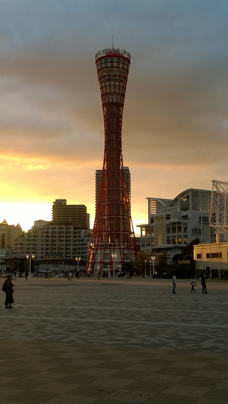 WP_20181013_17_09_30_Pro.jpg