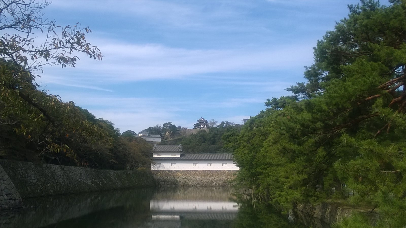 WP_20181016_11_03_11_Pro.jpg