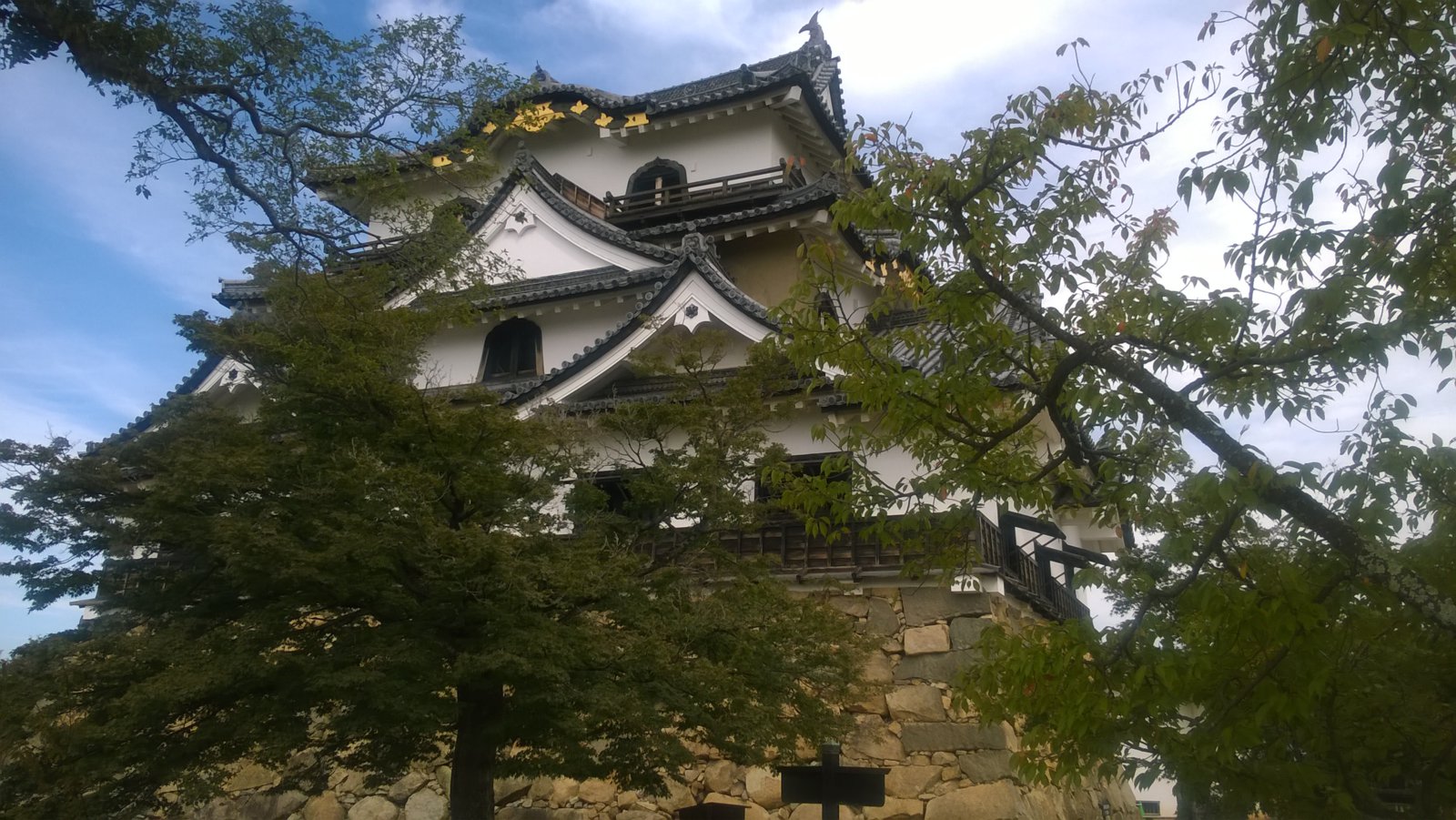 WP_20181016_11_33_12_Pro.jpg