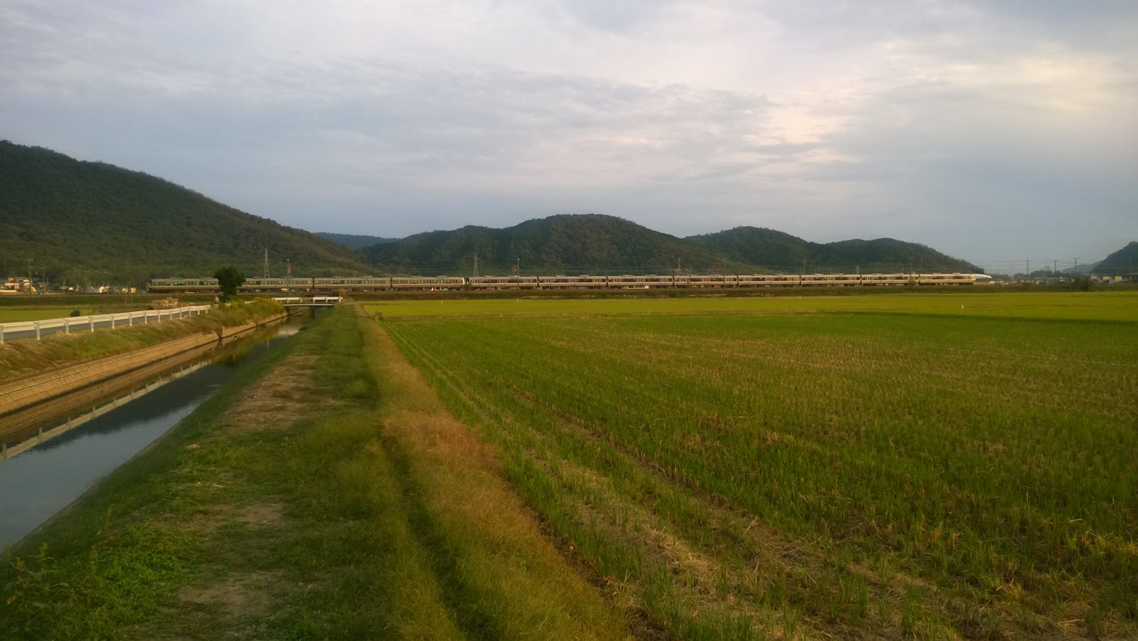 WP_20181016_16_34_00_Pro.jpg