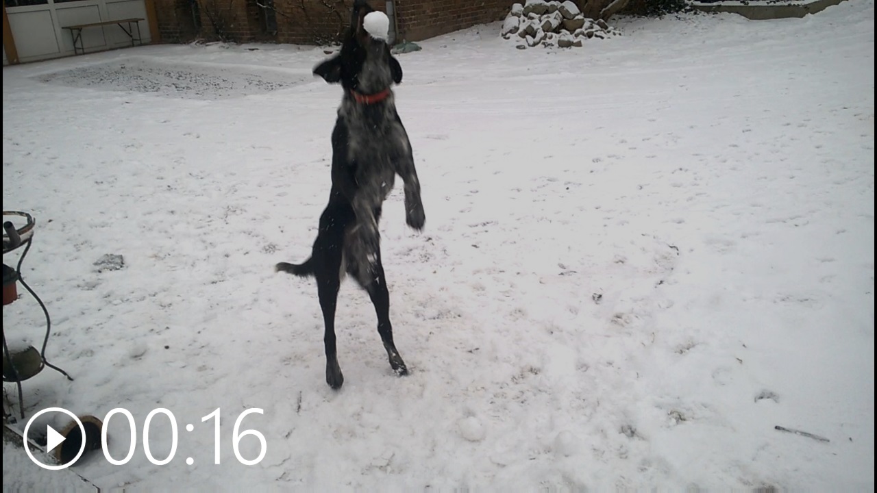 wp_ss_20160123_0001.jpg