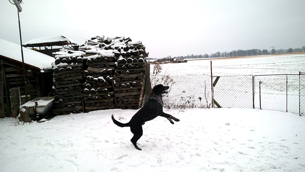 wp_ss_20170131_0002.png