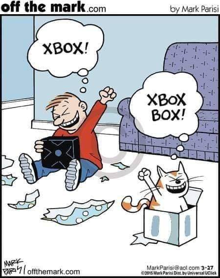 xbox cat.jpg