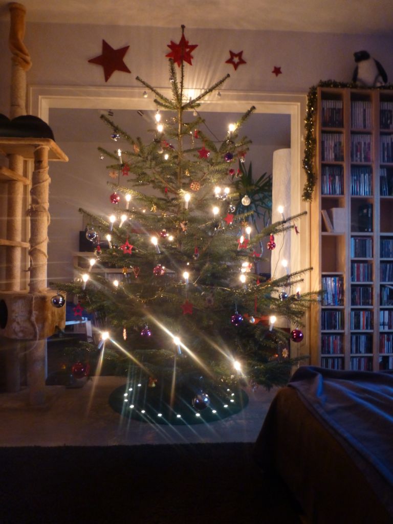 xmas2013.jpg