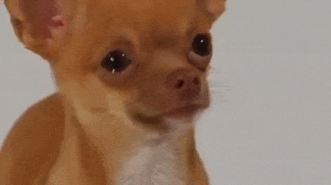 ygdY27.gif