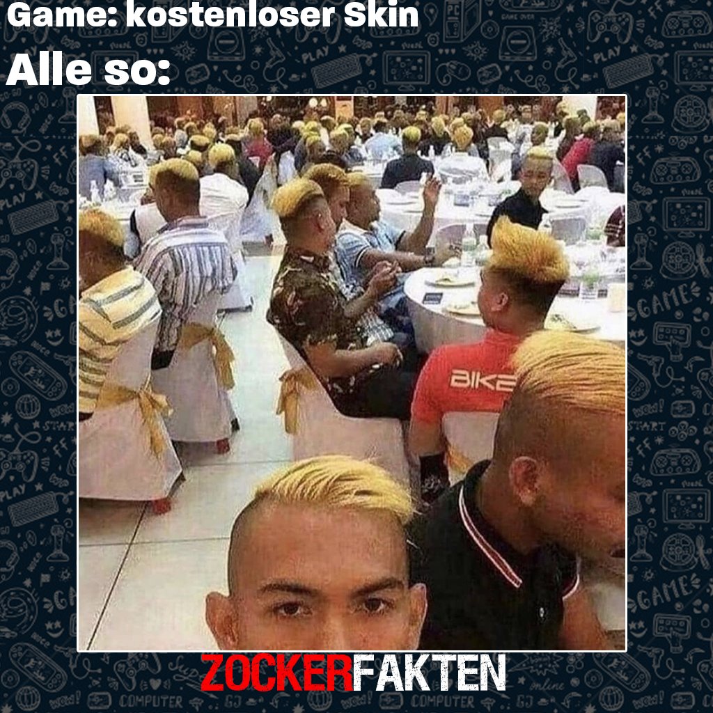 zockerfakten skin.jpg