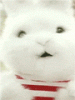 20a5frs.gif