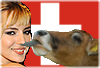 flexx2.png