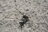 K1024_IMG_1227.JPG