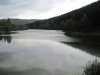 nagoldtal.jpg
