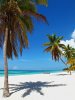Saona-2.jpg