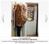 frise2.jpg