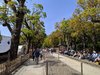 IMG_20190421_115950.jpg