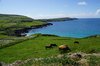 DSC07048.JPG