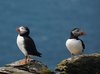 DSC07613.JPG