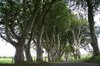 DSC08604.JPG