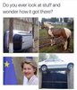 FB_IMG_1562394293037.jpg
