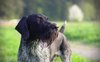 IMG-20180429-WA0006.jpg