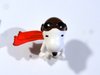 DSC05671.JPG