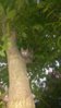 WP_20140609_011.jpg