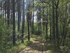0D0289CE-D836-4D3B-9C78-05FFAE6AA3A1.jpeg
