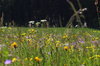 7B7E985C-743E-4D44-A6BC-56B13010ADCF.jpeg