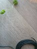 20200612_195151.jpg