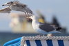 4DA6413F-95E3-40D2-B23A-B11F17FEC623.jpeg