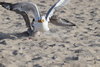 FBDA6C9F-18DB-4DC1-ACD3-4A3FE963000F.jpeg