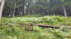 20200901_101532.jpg