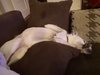 IMG_20200916_230929.jpg