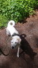 20190512_124656.jpg