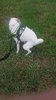 IMG-20190427-WA0014.jpeg