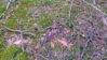 WP_20140716_014.jpg