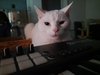 20201204_235705.jpg