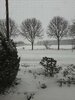 20210207_100942.jpg