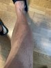 IMG_0250.jpeg IMG_0250.jpeg