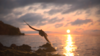 149A565E-86CE-4DE1-99ED-953A6DEAED55.png