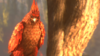 DBCABBC0-3177-40C2-9B1A-AF04BB1C8520.png
