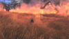 9D553C58-A0EA-435F-AAA9-7144D55EBAB4.png