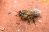 DSC01162.jpg