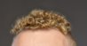 Haare.jpg