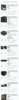 Screenshot_20230924-033058.png