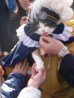 800px-Super_Stationmaster_Tama_20090104.JPG 800px-Super_Stationmaster_Tama_20090104.JPG