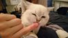 IMG_750402069086901.jpeg