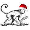 Monkey47.jpg