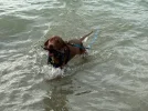 IMG_4174.webp