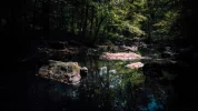 DSC01408.webp
